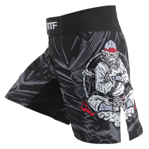 SHORT MMA MASTER