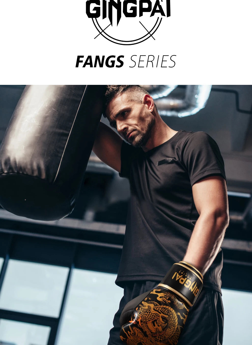 Gant de boxe RING FIGHTER | Dragon Or